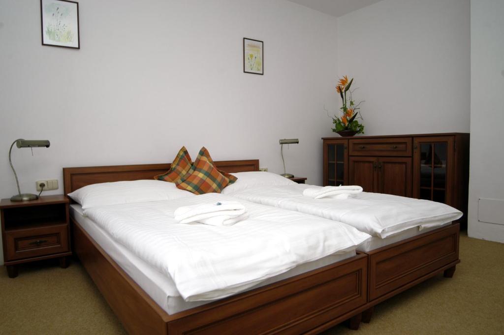 Hotel Loucky Litvinov Room photo